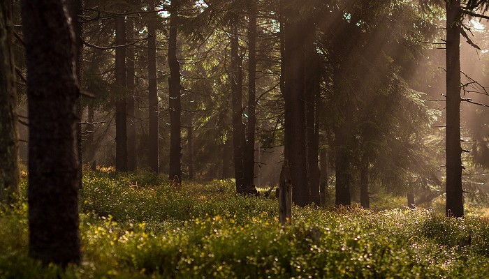 Challenges facing founders when growing a business